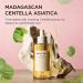 Madagascar Centella Ampoule 1.01 fl.oz 30ml Korean Face Serum with Centella Asiatica Hydrating and Moisturizing Care Soothing Facial Serum for Skin Balance and Glow Korean Skin Care - Buy Online on GoSupps.com