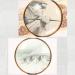 Magnifying Glasses Educational Hobby Magnifiers Metal Handheld Comfort Elderly Reading Magnifying Glass Hd Optical Glass Vintage Bronze Student Interest Fans Field Observation Plants Comfortable - Buy Online on GoSupps.com