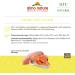 Almo Nature HFC Natural Wet Cat Food - Chicken & Salmon 12-Pack (280g) - Healthy & Gourmet Cat Meals - Buy Online on GoSupps.com