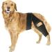 Dog Knee Brace for Rear Leg Torn ACL Self Adjustable ACL Knee Support Brace for Large and Small Dogs with ACL CCL Cruciate Ligament Injuries for Legs - Buy Online on GoSupps.com
