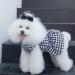 Cutebone Houndstooth Dog Dress with Turtleneck | Puppy Skirt Costume & Pet Outfit | Ideal Birthday Gift for XX-Small Dogs | International Shipping Available - Buy Online on GoSupps.com