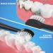 5 Count Compact Replacement Brush Heads with Covers for Flossing Toothbrush - Black | Pack of 1 - Buy Online on GoSupps.com