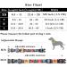 Heele Adjustable Dog Collar for Small & Medium Dogs - Patterned Comfort Collar for Puppies - Wild Flowers Design (XS 21.6-28cm) - Buy Online on GoSupps.com