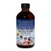 Planetary HerbalsWIld Cherry Bark Syrup for Kids - 8 Ounces
