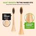 Bamboo Electric Toothbrush Replacement Heads for Philips Sonicare | Soft Charcoal Bristles - Eco-Friendly Dental Care - Buy Online on GoSupps.com