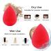 BEAKEY 5 Pcs Makeup Sponge Set - Foundation Blending Beauty Sponges for Liquid, Cream, and Powder Makeup - Multi-colored - Buy Online on GoSupps.com