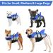 Dog Lifeguard Vest for Dogs | Reflective Adjustable Buoyant - Blue XL (66-78cm) | Swim & Surf Safely - Buy Online on GoSupps.com