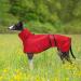 Adjustable Lightweight Dog Raincoat for Greyhounds, Lurchers, and Whippets - Red - Size M - Buy Online on GoSupps.com