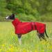Buy Geyecete Greyhound Light Dog Jacket - Waterproof Adjustable Reflective Coat for Greyhounds & Whippets - XXL Red (71-74cm) - Buy Online on GoSupps.com