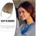 Bang Clip in Hair Extensions Human Hair Bangs Extensions | Natural Color Clip on Neat Bangs Hair Extension Human Hair Bangs Extensions Stylish Hair Bangs Fringe Hairpieces Light Brown - Buy Online on GoSupps.com