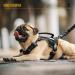 Oneigris Dog Harness & Leash Set | Mini Trooper Puppy Dishes for Extra Small to Medium Dogs - Black XS - Buy Online on GoSupps.com