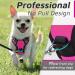 Eagloo Adjustable Dog Harness for Small Dogs - Anti-Train Durable Reflective Strips - Perfect for Walking & Jogging - Rose Red XS (1 Pack) - Buy Online on GoSupps.com