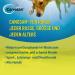 Boehringer Ingelheim Canosan dog 30 chewable tablets - Buy Online on GoSupps.com