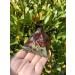 Crystal Rough 50mm Natural Stones and Minerals Dragon Blood Stone Pyramid Shaped gem Crystals Suitable for Home