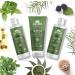 Buy Ayumi Neem & Tea Tree Body Scrub - Vegan Cruelty-Free 3 x 200ml | International Shipping - Buy Online on GoSupps.com