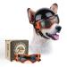 Namsan Anti-UV dog glasses with pet helmet windproof eye protection dogs sunglasses cool motorcycle pet helmet for small/medium-sized dogs orange