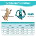 Adjustable Cat Dishes for Kittens & Puppies | Blue Lake Cat Feeding Set - International Shipping - Buy Online on GoSupps.com