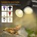 Shop LEDBOCLI TILD Heating Light Bulbs 3.5W 25W 50W for Aquariums & Reptiles - E27 Clip Lamps with UVB for Lizards Turtles & Snake Habitats - Buy Online on GoSupps.com