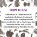 Buy Deve Herbes Pure Camellia Oil Cold Pressed - 100ml x 5 | Premium Skin & Hair Care | International Shipping Available - Buy Online on GoSupps.com