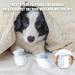 Disposable Dog Socks 20 Pcs Adjustable Disposable Dog Shoes Boots Dirt-Proof Pet Socks Dog Paw Protectors Foot Cover with Self Adhesive Bandage for Outdoor Indoor Walking (Small) - Buy Online on GoSupps.com