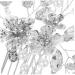 Mikinona Bridal Hair Comb Clip Bride Hair Accessories Rhinestone Hair Accessories Bridal Hair Side Comb Flower Hair Comb Wedding Bride Hair Comb The Flowers Rhinestones Iron Sheets - Buy Online on GoSupps.com