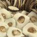 Seweryn Dried Porcini Mushrooms 100g - GMO Free Borowik Szlachetny Whole Caps String - Imported from Poland - Buy Online on GoSupps.com
