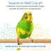 Avian Probiotics for Parrots | All-Natural Digestive System Support | 120 Servings - Buy Online on GoSupps.com