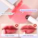Arqumi 2PCS Lip Brush Set - Silicone Lipstick Applicators Round Head Lip Smudge Brushes Makeup Brush with Dust Storage Tube | Perfect for Lip Gloss & Makeup - Buy Online on GoSupps.com