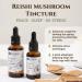Ecodrop Organic Reishi Mushroom Double Extract Liquid Tincture 50ml - EU & Soil Association Certified - Made in Finland - Buy Online on GoSupps.com