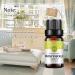2-Pack Honeysuckle Essential Oil - 100% Pure Organic Flower Oil for Diffuser, Massage, Skin Care, Sleep - 10ML - Buy Online on GoSupps.com