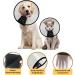 Premium Dog & Cat Protective Collar - Leak & Paw Protection | 3 Sizes (M) - Up to 41cm Neck - Buy Online on GoSupps.com