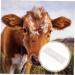 Lurrose 2-Pack Animal Pregnancy Test Strips for Horses & Cows - Reliable Farm Testing Solutions - Buy Online on GoSupps.com