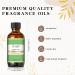 Mystic Green Tea Fragrance Oil 60ml - Aromatherapy Essential Oils for Diffusers and Candle Making - Buy Online on GoSupps.com