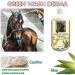 UNION B.I.O. SOLUZIONE NATURA Union Bio Green Wash Derma 500 ML Nourishing natural gentle horse shampoo with essential oils respects the skin's physiological pH moisturizing protective softening - Buy Online on GoSupps.com