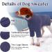Iecoii Dog Sweater - Warm Turtleneck Winter Clothing for Small Medium & Large Dogs | Perfect for Chihuahuas French Bulldogs & Labradors - Blue - Buy Online on GoSupps.com