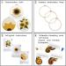 Armindou 3 Sets Sunflower Embroidery Starter Kits for Adults - Floral Stamped DIY Cross Stitch Kit with Hoops, Fabric, Needles & Threads - Buy Online on GoSupps.com