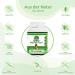 Bromelain 500 mg Capsules - Vegan No Fillers/Additives 2000 F.I.P. - Bio Protect Pineapple Enzyme - 120 Count - Buy Online on GoSupps.com