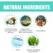 Goniome Coconut-Mint Water Mouthwash - Fresh Breath & Teeth Whitening | Oil Pulling for Healthier Gums (3 PCs) - Buy Online on GoSupps.com