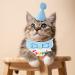 Blue Dog & Cat Birthday Bandana Set | Happy Birthday Pet Party Hut & Decorations - Buy Online on GoSupps.com