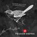 Premium Dried Mealworms & Fly Larvae Mix for Chickens and Wild Birds 5 LBS (2.25 KG) - Ma Poule Express - Buy Online on GoSupps.com