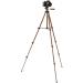 Amazon Basics 50-Inch Camera Mount Tripod Stand with Bag - Lightweight and Portable | 1-Pack - Buy Online on GoSupps.com