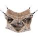 AUXSOUL 3 Layer Rat Hammock for Cage - Soft Pet Bed for Hamsters, Chinchillas, Sugar Gliders - Brown - Buy Online on GoSupps.com