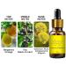 SecretVenom-Extra Strong Pheromones Pheromone Cologne for Men Attract Women Natural Body Essential Oil Lure Her Perfume for Men to Attract Women - Buy Online on GoSupps.com