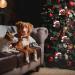 36 Pcs Dog Paw Christmas Ornament Pet Paw Wooden Dog Bone Paw Print Cutout Dog Hanging Wood Dog Decoration Buffalo Plaid Cutout Jute Christmas Tree Gift Red - Buy Online on GoSupps.com