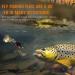 Dovesun Fly Fishing Flies - Spinner & Dry/Wet Flies Set (No. 8 5 Pieces) | International Shipping - Buy Online on GoSupps.com