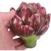HOMSFOU 10 Pcs Artichoke Artificial Flower House Decorations for Home Plant Decor Household Decor Faux Artichokes Botanical Decor Home Decor Silk Flower Fake Vegetables Artificial Flowers - Buy Online on GoSupps.com
