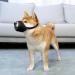 Adjustable Dog Muzzle - Breathable Mesh Nylon Anti-Bite & Bark for Small Medium & Large Dogs (S Black) | International Shipping Available - Buy Online on GoSupps.com