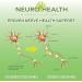 Neuro Health Nerve Support Formula with B12 and Alpha Lipoic Acid - Neuropathy Supplement - 60 Count Bottle - Buy Online on GoSupps.com