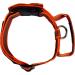 Julius-K9 Color & Gray Collar with Handle Safety Lock & Interchangeable Patch 40mm (38-53cm) - Orange Gray - Buy Online on GoSupps.com