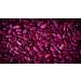 Buy Camelur 500g Organic Kidney Beans - Dried Red Beans Additive-Free & Eco-Friendly Packaging - Buy Online on GoSupps.com